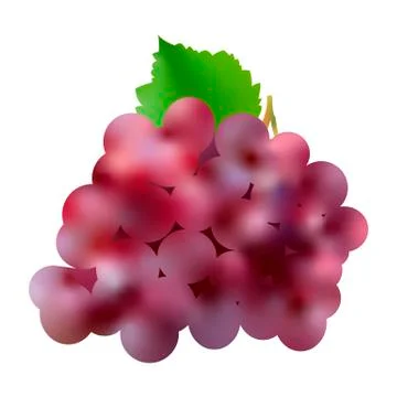 Isolated dark grape with green leaf in 3d illustration on white background Stock Illustration