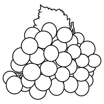 Isolated dark grape with green leaf in line illustration on white background Illustration