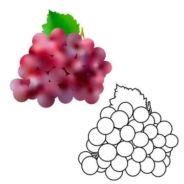 Isolated dark grape with green leaf in 3d and line illustration on white Illustration