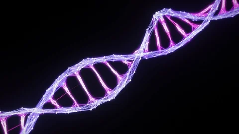 Isolated Digital Plexus DNA molecule strand Loop pink purple violet alpha matte Stock Footage 108887614