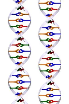 Isolated DNA helices Stock Illustration