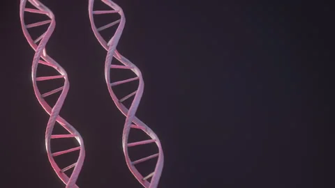 Isolated DNA model Stock Footage 140612290
