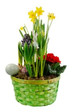 Isolated easter decoration with spring flowers Stock Photos