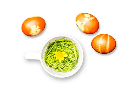Isolated easter eggs and teapot with grass Stock-Fotos