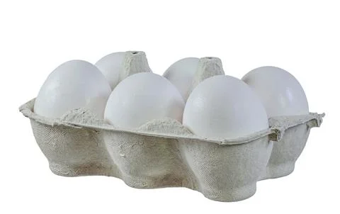 Isolated egg box full with white bio eggs Stock Photos