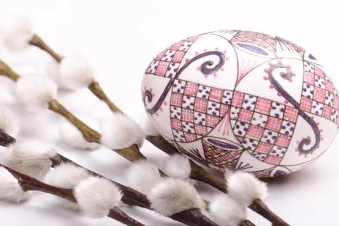 Isolated egg with catkins Stock Photos