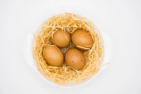 Isolated egg with nest Foto stock