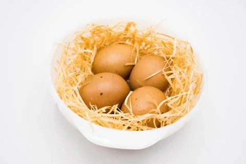 Isolated egg with nest Foto stock