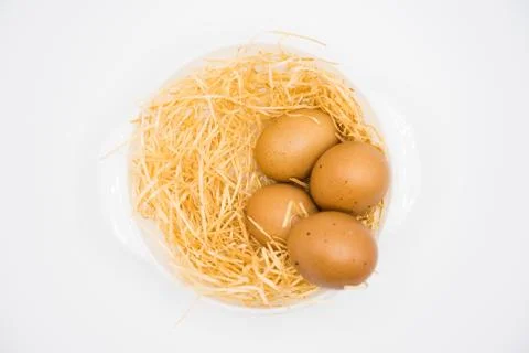 Isolated egg with nest Foto stock