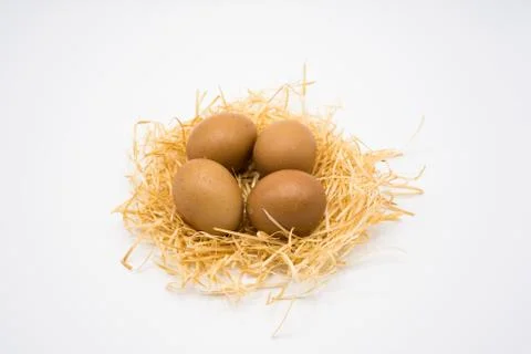 Isolated egg with nest Foto stock