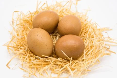 Isolated egg with nest Foto stock