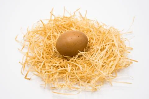 Isolated egg with nest Foto stock