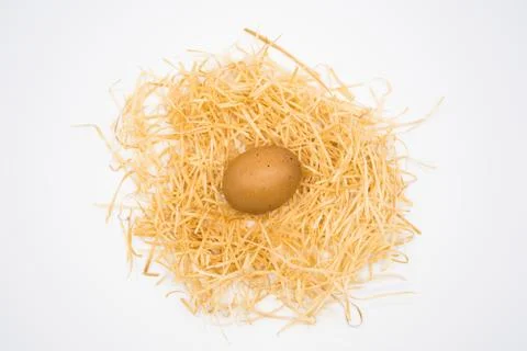 Isolated egg with nest Foto stock