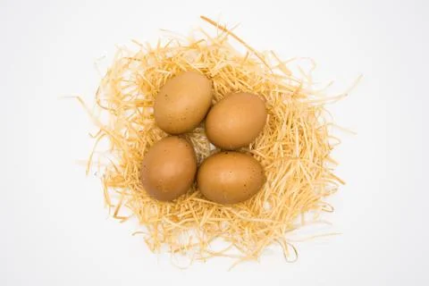 Isolated egg with nest Foto stock