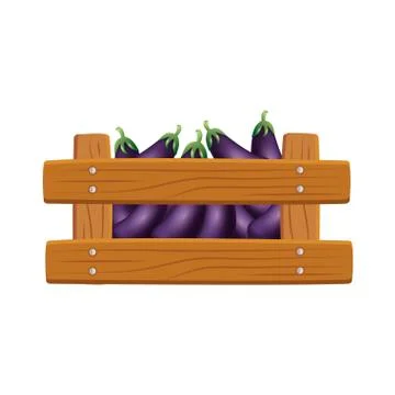Isolated eggplants inside box vector design Illustrazione stock