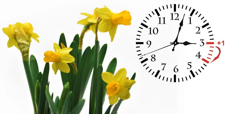 Isolated electronic wall clock. Stock Photos