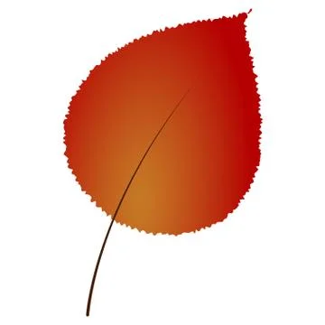 Isolated fall leaf Illustrazione stock