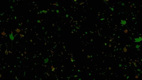 Isolated falling green leafs in black background. Concept of autumn, leaves,  Stock Footage 146957478