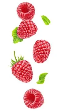 Isolated falling raspberries Stock Photos