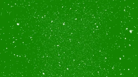 Isolated falling snow on green screen Stock Footage