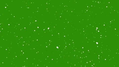 Isolated falling snow on green screen. Snowflakes falling down. Loop animation Stock-Footage 316616960