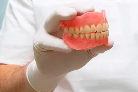 Isolated. False teeth prosthesis. Doctor Dentist. Stock Photos