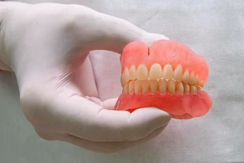 Isolated. False teeth prosthesis. Doctor Dentist. Stock Photos