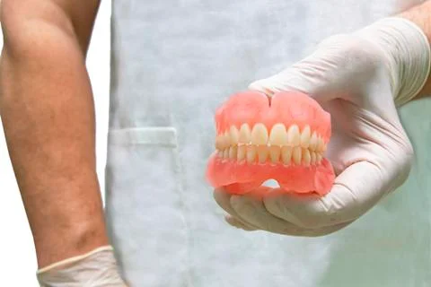 Isolated. False teeth prosthesis. Doctor Dentist. Stock Photos