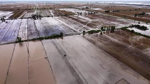 Isolated farm machinery working in the sprawling Mekong Delta landscape Stock Footage 339998107