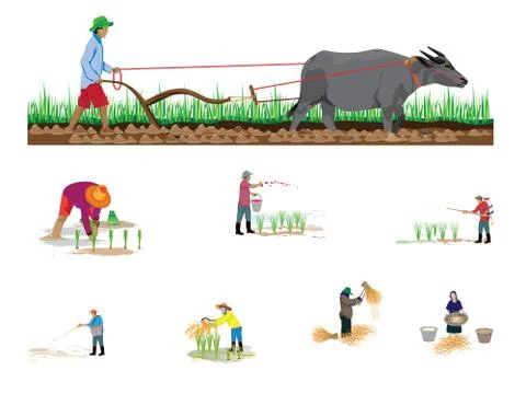 Isolated farmer cartoon shape vector design Stock Illustration