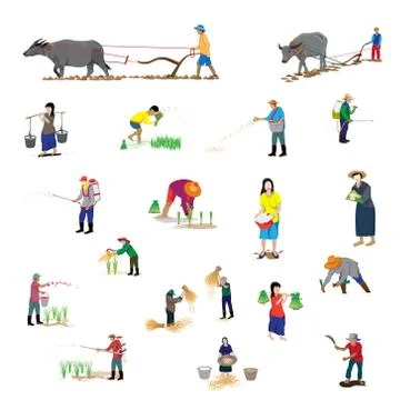 Isolated farmer cartoon shape vector design Stock Illustration