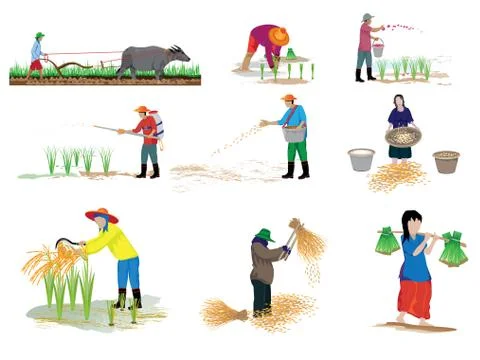 Isolated farmer cartoon shape vector design Stock Illustration