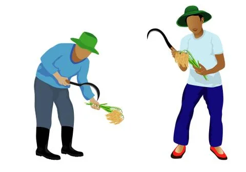 Isolated farmer cartoon shape vector design Stock Illustration