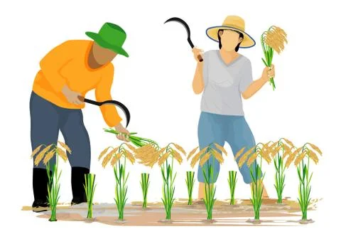 Isolated farmer cartoon shape vector design Stock Illustration