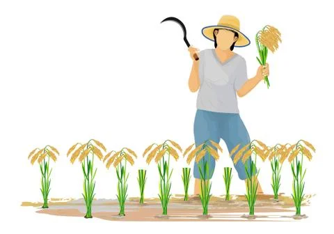 Isolated farmer cartoon shape vector design Stock Illustration