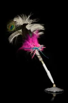 Isolated Feather Pen Stock Photos