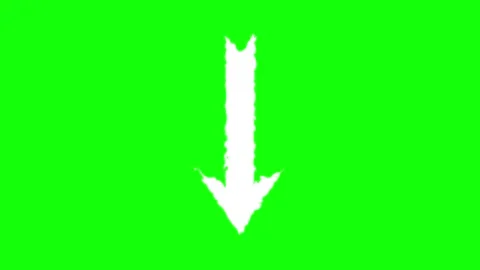 Isolated Feather on Transparent Background 库存影片 342788811