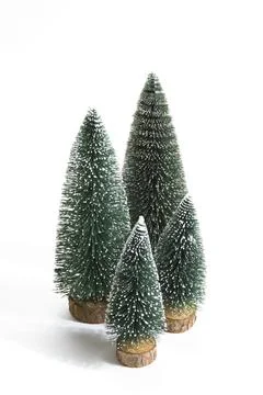 Isolated fir Stock Photos