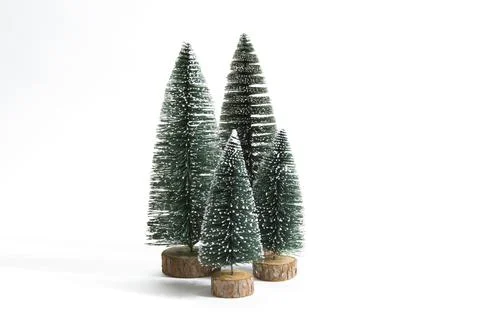Isolated fir Stock Photos