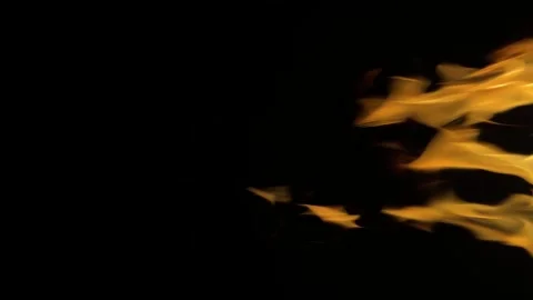 Isolated fire on black background. Flame on black background. Fire on black Stock Footage 313754333