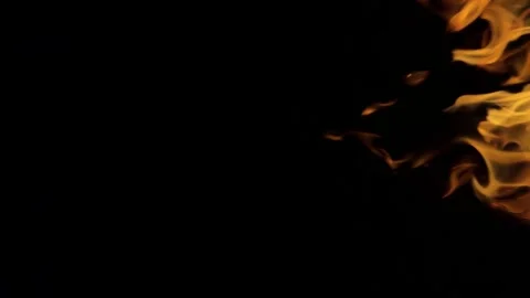 Isolated fire on black background. Flame on black background. Fire on black Stock Footage 313874381