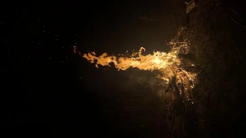 Isolated fire on black background. Flame on black background. Fire on black Stock Footage 316392146