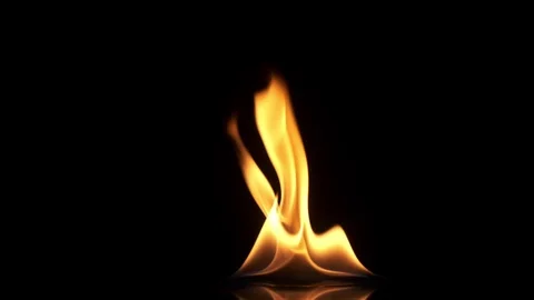 Isolated fire on a black background. Real fire. Copy space. Stock Footage 125894407