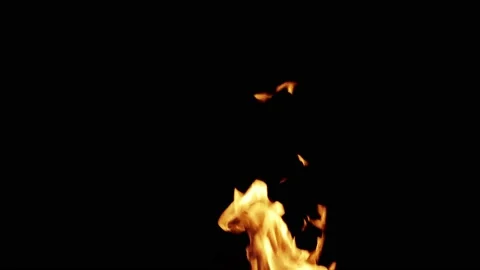 Isolated Fire flames in super slow motion on black background, Stock Footage 113263434