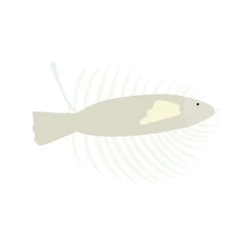 Isolated fish with a palm leaf Stock Illustration