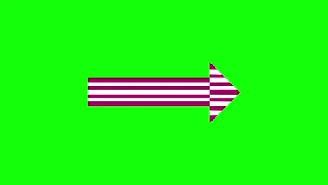 Isolated Flag on Green Screen Background Stock Footage 342789090