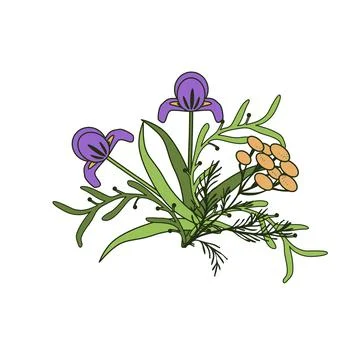 Isolated floral bunch Stock Illustration