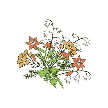 Isolated floral bunch Stock Illustration