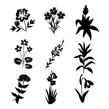 Isolated floral set Stock Illustration