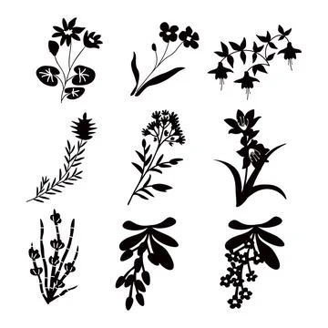 Isolated floral set Stock Illustration